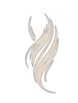 TWOJHAIR logo